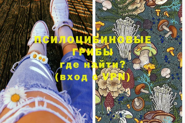 PSILOCYBIN Осинники