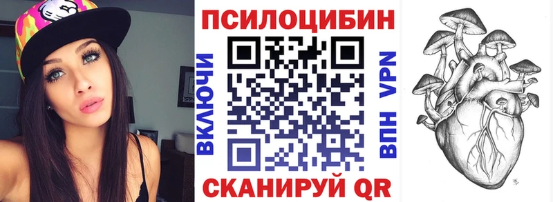 купить  сайты  Ахтубинск  Псилоцибиновые грибы мухоморы 